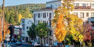 How to Find the Best Chiropractor for You in Grass Valley or Nevada City – Hint: Don’t Just Trust Dr. Google