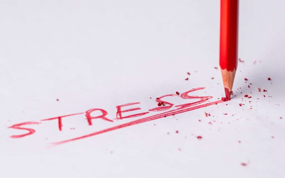  How to Eradicate Stress: The Key to Using Chiropractic as the Foundation of Your Stress Management Program