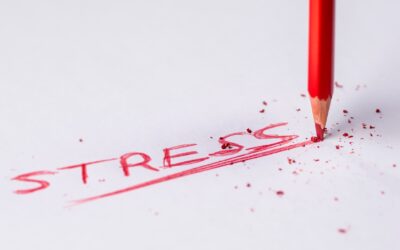  How to Eradicate Stress: The Key to Using Chiropractic as the Foundation of Your Stress Management Program