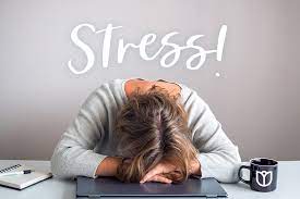 STRESS IS PRIMAL FOR SURVIVAL AND IT IS ALSO INVOLVED IN OVER 90% OF HEALTH CHALLENGES.  CORRECTIVE CHIROPRACTIC AND VAGUS NERVE PRACTICES ARE THE SOLUTION!
