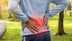 The 5 Absolutely Critical Elements to Eliminating Your Nasty Annoying Chronic Low Back Pain