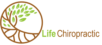 Life Chiropractic of Grass Valley Offers an Approach Focusing on Returning You to Balance and the Life You Want