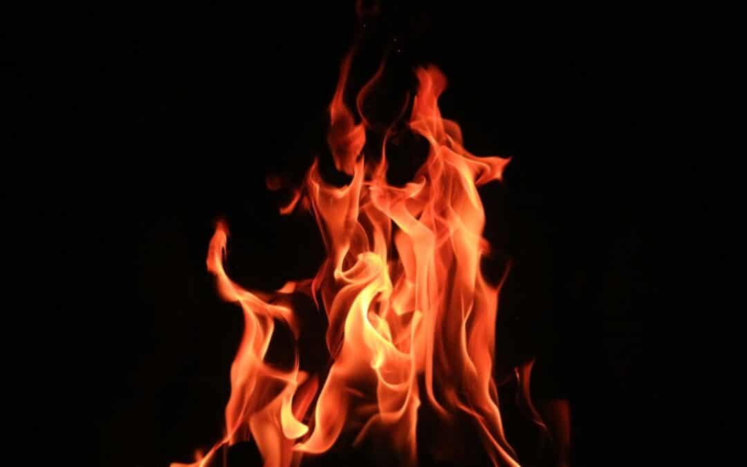 Put a Halt to Burnout Before it Robs You of Your Vitality….Overcome it Naturally!
